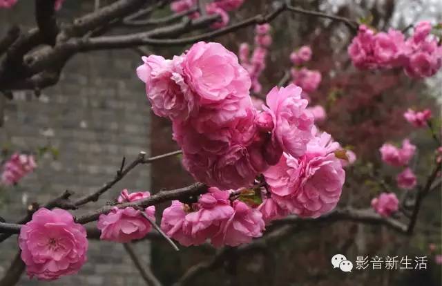 大师,从这里启航!2016清华大学建筑声学原理与设计培训课程圆满举行! 8f1efc16bf3d7708b39b0cb0ed60af3f - 大师,从这里启航!2016清华大学建筑声学原理与设计培训课程圆满举行!